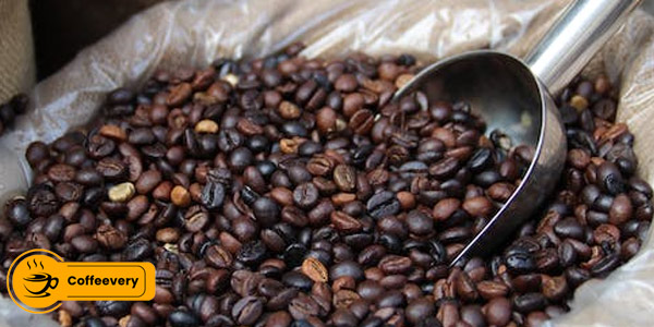 توجه به کشور مبدا قهوه