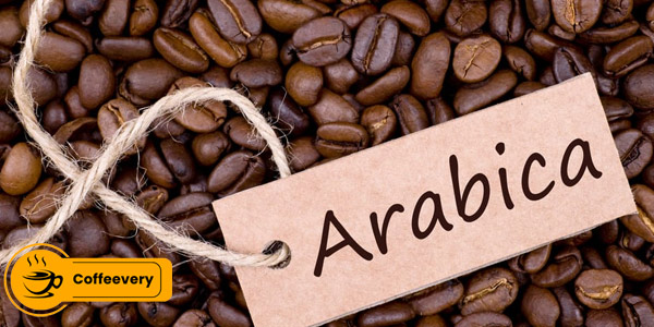 قهوه عمده عربیکا