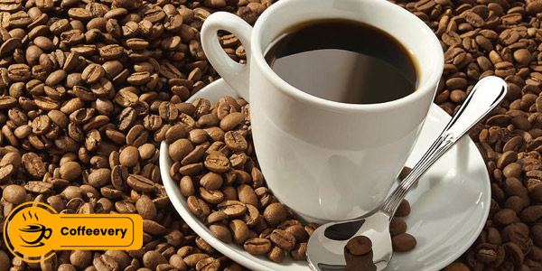 خرید قهوه عمده اسپرسو