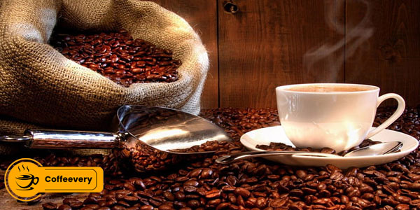 خرید دانه قهوه از نمایندگی