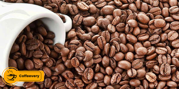 مزایای خرید قهوه از نمایندگی پخش قهوه