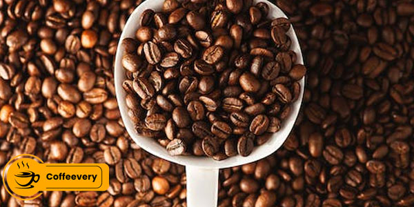 بهترین قهوه روبوستا