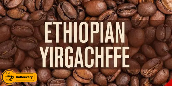 قهوه عربیکا اتیوپی یرگاچف Ethiopian Yirgacheffe