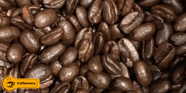 قهوه عربیکا مولوکای