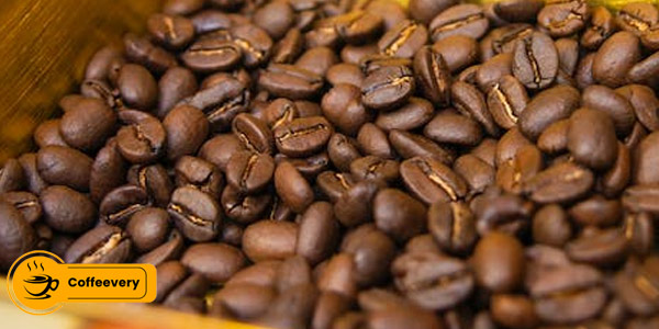نمایندگی قهوه روبوستا فله ای