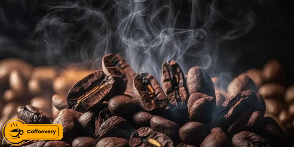 تازگی و نحوه رست قهوه در درصد کافئین